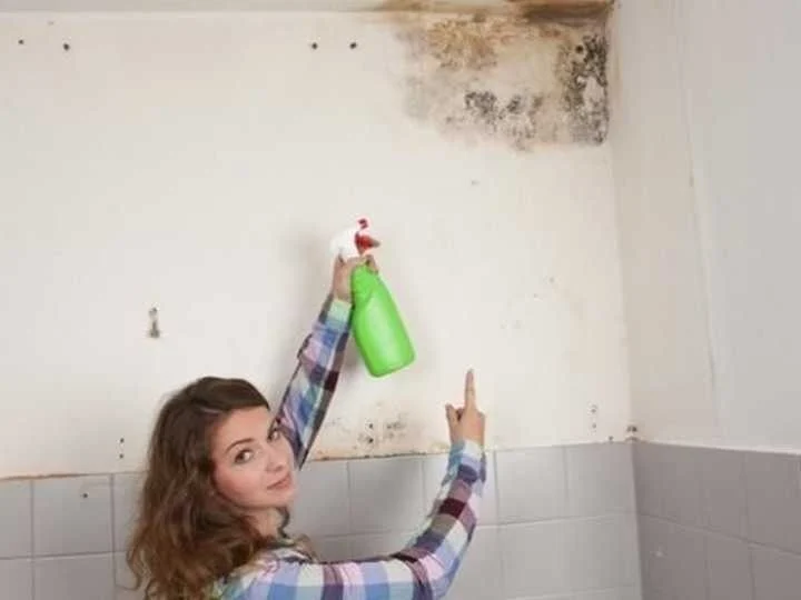 تنظيف الأسقف والحوائط